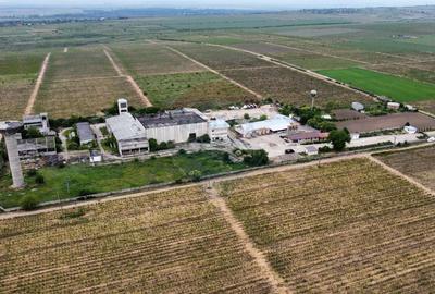 Spațiu industrial, de 5,300 mp, în Dobrinești - 1
