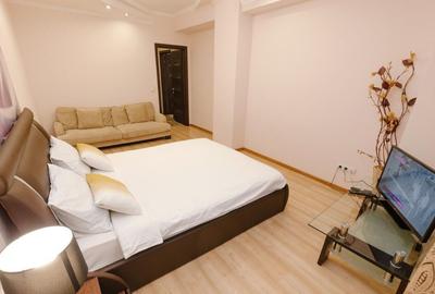 Apartament de inchiriat cu o camera - 3