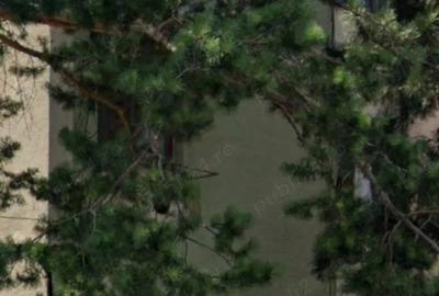 Garsoniera de vanzare Bumbesti Jiu str trandafirilor g85