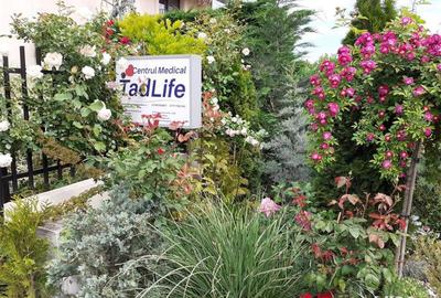 Spațiu comercial, de 16 mp, în Braytim - 6