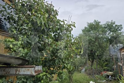 Casă cu 2 camere cu Teren 252 Mp în Botizului