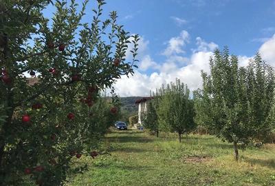 Teren de 1200 mp, în Central - 2
