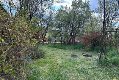 Casă cu 3 camere în Cozma - 2