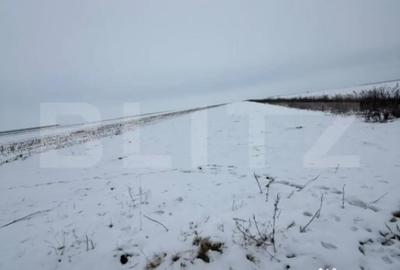 Teren de 9000 mp, în Central - 1