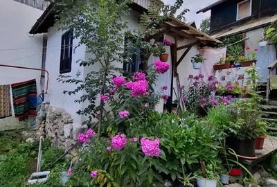 Casă cu 4 camere cu Teren 240 Mp în Chiajna