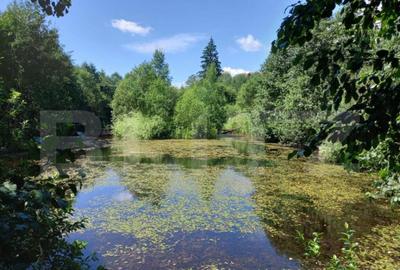 Ocazie , cabana, 300 mp utili, Poiana Stampei cu 6060 mp ter - 6