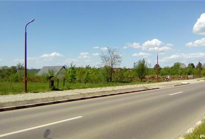 Spațiu comercial, în Snagov - 6