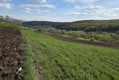 Teren de 5800 mp, în Mărăști - 2