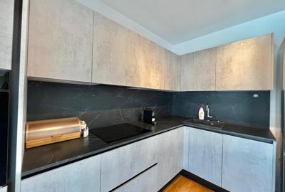 2 camere - BILCIURESTI, Aviatiei, Herastrau, Promenada - 10