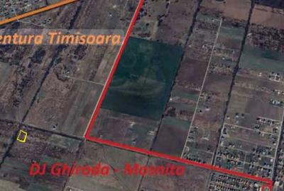 Spațiu comercial, în Moșnița Nouă - 1