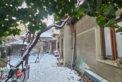 Teren patrat, strada linistita langa Ciuperca Domenii - 8