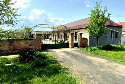 Oferim spre vanzare, casa cu 5 camere, 190 mp utili, la 25 de minute de Timisoara - 2