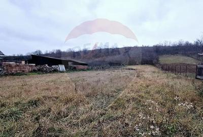 Casă cu 2 camere cu Teren 2443 Mp în Hidiș - 1