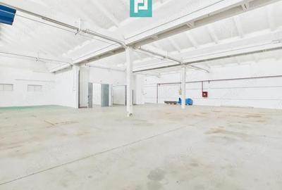 Hala de 431 mp in parc industrial Arad - 1