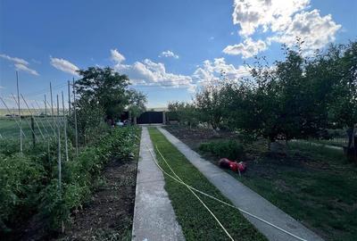 Casa 4 camere - Letcani - Popasul Mariei - 9