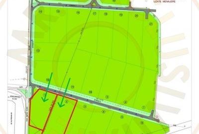 Teren Intravilan Industrial 13.164 mp, Zona Constantin Mille-Carei-Comision 0% - 10