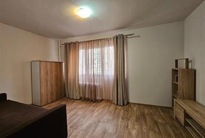 Apartament cu 2 camere semidecomandat, mobilat în Podu Roș - 8