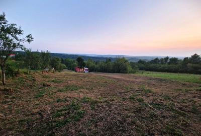 Casă cu 2 camere în Banat