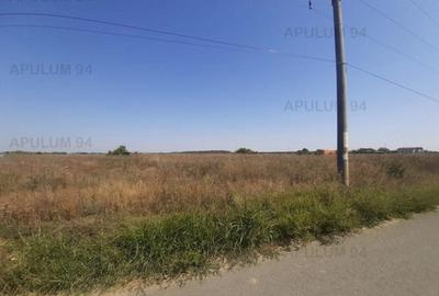 Teren pentru case in 1 Decembrie - 6