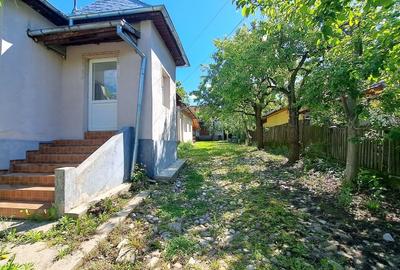 CASA SI LIVADA/ZONA DE DEALURI IMPADURITE/VALEA SCHEII/MANGA/VOINESTI/DAMBOVITA - 6