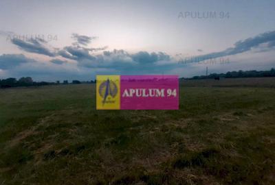 Teren Construcții intravilan de 3820 mp, în 1 Decembrie - 16