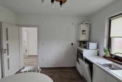 Sanandrei – Duplex  2  Camere – Pod  Mansardabil - 8