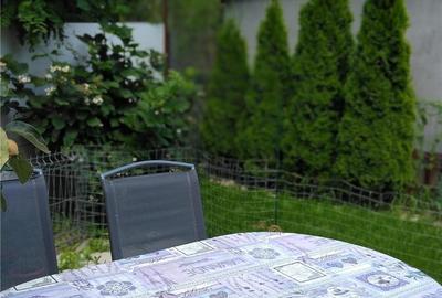 Casă în Ciocănăi - 7