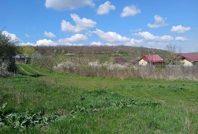 Teren Construcții intravilan de 1150 mp, în Dămienești - 2