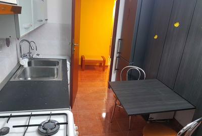 Apartament cu 2 camere decomandat în Sârbi - 3