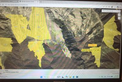 Teren de 780000 mp, în Padeș - 3