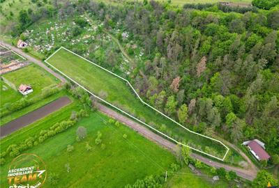 Spațiu comercial, în Păpăuți - 4
