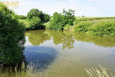 Teren agricol intravilan de 13725 mp, în Posmuș - 9