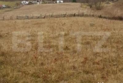 Teren de 50000 mp, în Central - 5