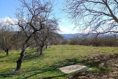 Teren de 25500 mp, în Bezdead - 1