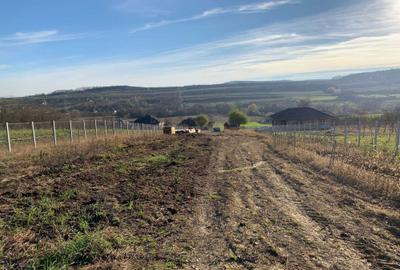 Spațiu comercial, în Fărcașa - 2