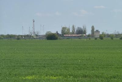 Teren Construcții intravilan de 20000 mp, în Vârteju - 15