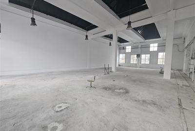 Spațiu industrial, de 340 mp, în B-dul București - 3