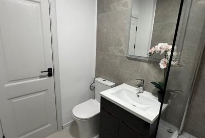 Apartament cu 2 camere semidecomandat în Grivița - 4