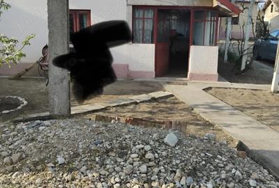 Casă în Central - 4