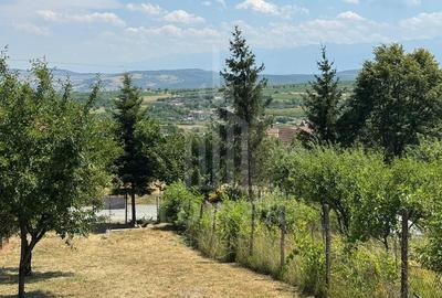 Casa cu 3 camere si teren | 111mp utili 450mp teren | Daia Noua | EXCLUSIVITATE - 8