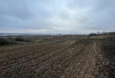 Teren de 23400 mp, în Central - 4