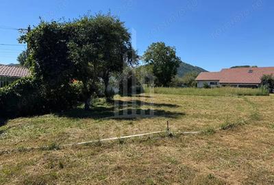 Teren de 500 mp, în Rășinari - 4