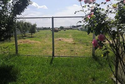 Teren de 12000 mp, în Ierbuș - 4