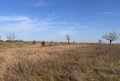 Teren de 6707 mp, în Cetariu - 3