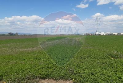 Teren Construcții intravilan de 5460 mp, în Stupini - 11