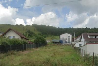 Teren de 843 mp, în Câmpenești - 2
