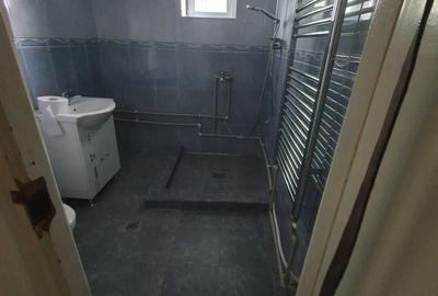 Casă cu 2 camere în Turnu - 8