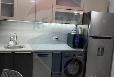 Apartament cu 2 camere decomandat, mobilat în Calea București - 8