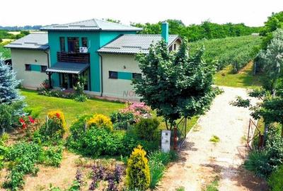 Vila + Afacere 15.000mp Clinceni - 1