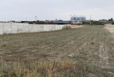 Teren de 1050 mp, în Cârcea - 2